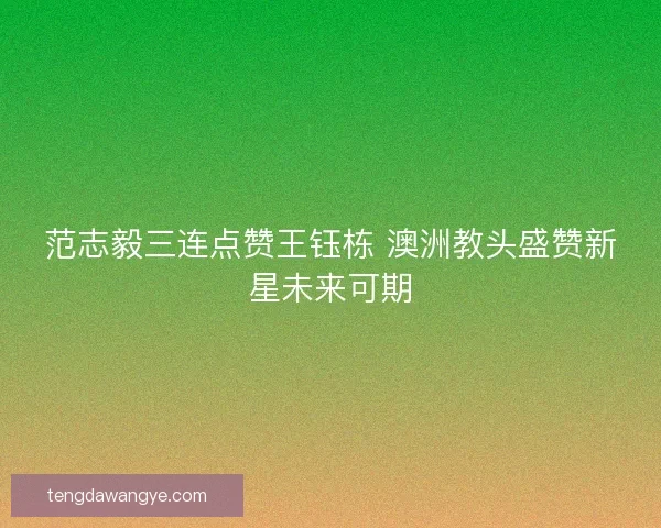 范志毅三连点赞王钰栋 澳洲教头盛赞新星未来可期