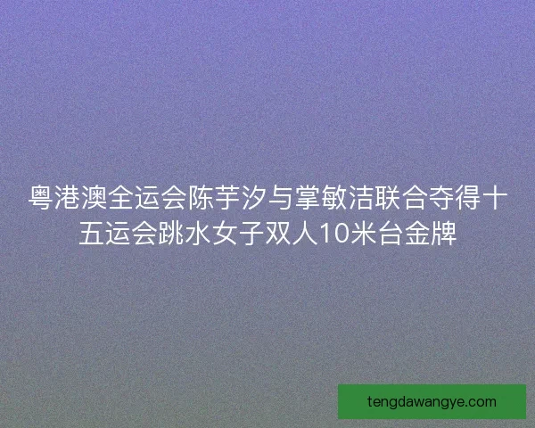 粤港澳全运会陈芋汐与掌敏洁联合夺得十五运会跳水女子双人10米台金牌