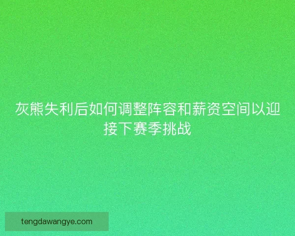 灰熊失利后如何调整阵容和薪资空间以迎接下赛季挑战